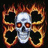 Animated skull icon with fiery orange-yellow flames surrounding a central blue-gray skull, transitioning to static white skull and crossbones on black background.