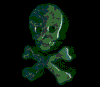 A skull and crossbones icon with greenish hues, showing variations in color intensity across four of identical frames