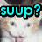 A cat with light brown and white fur appears in a of four , each displaying the text 'suup?' in different colors