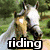 A four- of horse images with text overlays reading 'riding is my passion' in bold white letters with black outlines