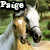 A horse with a white blaze on its face stands in a grassy field, partially obscured by text overlays.