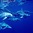 Pixelated blue-toned image of two dolphins swimming side-by-side in a gradient ocean background with light reflections.
