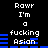 Pixelated text displays 'Rawr I'm a fucking Asian' with blue horizontal bars on black background, repeating in two vertical