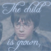 Four show a person with dark hair and glasses in different poses, each overlaid with white cursive text reading "The child is grown," "Is Gone," "I have become," and "Comfortably Numb." The background has blue-gray tones