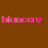 Two side-by-side pixelated text displays reading 'blanca' with a heart symbol, one pink and one white on brown background.