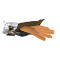 Animated sequence of a bird with brown wings and white head in flight, showing wing position changes across frames.