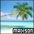Pixelated beach scene with palm tree, ocean, and sky; two versions of 'MADISON' text in black and blue backgrounds.