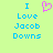 Pixelated text 'I Love Jacob Downs' in blue on light green background with pink heart symbol above 'Love'.