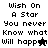 Pixelated text reads "Wish On A Star You never Know what Will happen" with two distinct pixel-art figures on black and gray backgrounds.