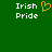 Green background with white text 'Irish Pride' on left and right, orange pixelated heart symbol between them.