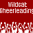 Red background with white pixelated text reading "Wildcat" and "Cheerleading" above a of cheering hands