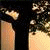 Green background with light green text reading 'who says Girls Cant Hunt?' and a small pixelated image of two figures in dark clothing on the left.