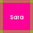 Pixelated text 'Sara' on bright pink background with green and brown lines, static image with no visible animation changes