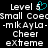 Pixelated text displays "Level 5" with a teal heart symbol, "Small Coed" with a misspelled "Coed," "-mIKAylo-" in stylized case, "Cheer," and "extreme" across two identical side-by-side