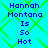 Pixelated text reads 'Hannah Montana Is So Hot' on a cyan background with green diamond pattern