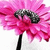 A pixelated pink flower with a black stem and dark center, rendered in a low-resolution style against a white background.