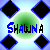 Pixelated graphic with green circular background, blue and black diamond shapes surrounding text reading SHAUNA in mixed color lettering.
