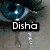 A pixelated eye with blue iris and black eyelashes, overlaid with the text 'Disha' on a gray background.