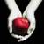 Two hands hold a red apple against a black background; a woman with brown hair and a man's hand appear on the right; a shirtless man stands below.