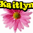 Pixelated flower icons with text overlays: pink daisy, yellow sunflower, and colorful roses on white background.