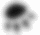 Four grayscale paw print variations arranged in a , showing progressive refinement from blurry to sharp outlines with distinct toe pads and central pad shapes
