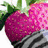 A four- shows a strawberry, a black-and-white figure, a beach scene, and a person with sunglasses