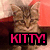 A pixelated cat with brown and black stripes appears in a static image with pink text overlays reading "KITT" and "Kitty say MOO!!" against a blurred background.