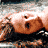 A pixelated image of a person lying on their back with arms raised, wearing a black bikini top, and a white text box reading "Coolbuddy.com" on the right.