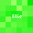 Four identical pixelated text elements reading 'Ellie' in white, arranged on a green gradient background with varying shades of bright and light green squares.