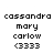 Pixelated text displays 'cassandra', 'mary', 'carlow', and '(3333)' in two identical vertical on a white background