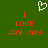Green background with white pixelated heart symbol above red text reading "I LOVE JAY JAY" in two identical side-by-side arrangements.