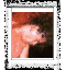 Six distinct images arranged in a , each within a white border with black pixelated edges