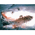 Animated shark swims left to right against a blue water background with white foam, next to green text reading Original Icons .com.