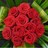 Static 48x48 pixel icon showing a dense cluster of red flowers with green foliage background, rendered in low-resolution pixel art style.