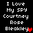 Pixelated text on black background with red heart symbols replacing the 'y' in Bleakley