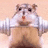 Pixelated hamster lifts weights against pink background with text 'I'm Working Out!!!'