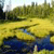 Pixelated landscape with yellow fields, blue water, green trees, and a light sky, rendered in low-resolution style.