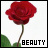 A static contact sheet of two side-by-side frames showing a red rose with green leaves and the word "BEAUTY" in blocky text below, each frame bordered by different colors (black on left, red on right).