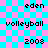 Pixelated text labels 'eden', 'volleyball', and '2008' on a cyan-pink checkered background with faint lines