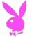 colorful bunny head icons with bow ties in pink, orange, yellow, green, blue, and purple hues on white backgrounds