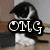 A black-and-white cat with a white chest sits on a wooden surface, its head turned down as text overlays change across frames.
