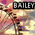 Six distinct scenes with 'BAILEY' text overlays: Ferris wheel, beach palm trees, black cat on blue background, colorful abstract shapes, sunflower, and floral arrangement.