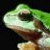 Pixelated green and brown mushroom with white cap and brown stem against dark background