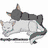 Animated sequence showing a gray and white cat lying on its side, then a green-haired anime character with blue eyes and a pink scarf, and finally a white cat with an orange ball.
