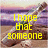 A four- shows a bottle on a beach with text reading "I hope that someone gets my message in a bottle" in yellow pixelated font