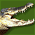 A pixelated crocodile head with open mouth on green background, next to green text reading 'Original Icons .com' in a retro font.