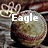 A circular brown object with a textured surface appears in three , each labeled with different text: "Eagle," "Softball," and "#12."