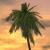A palm tree silhouette against a sunset sky with orange and yellow gradients, next to green text reading 'Original Icons .com' on dark background.