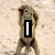 A four- shows a lion cub standing on sandy ground with text appearing sequentially