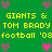 Green background with yellow text repeating 'GIANTS & TOM BRADY football '03' and pink/purple hearts in pixelated style.